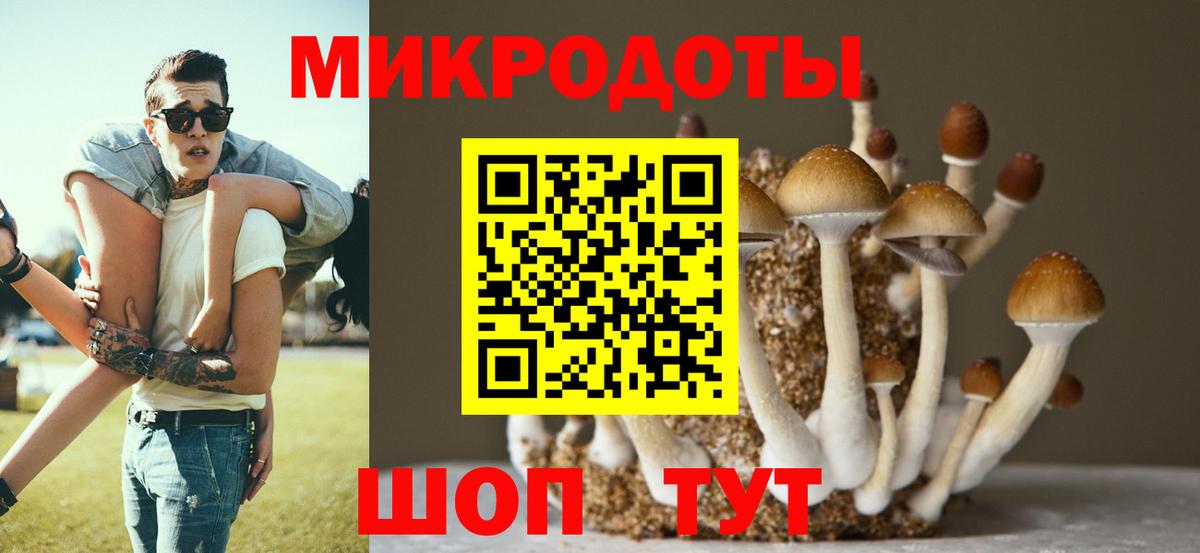 Галлюциногенные грибы мухоморы  Псилоцибиновые грибы ЛСД  Вход с VPN  цены наркотик  Санкт-Петербург 