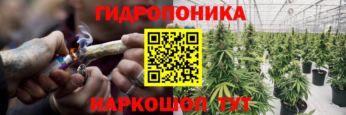 Бошки Шишки индика  Вход с VPN  Марихуана White Widow  Санкт-Петербург 